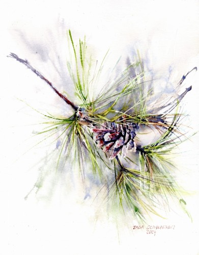 img20241023_18560912 (1).jpg