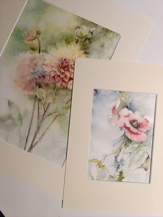 WhatsApp Image 2025-09-30 at 12.11.04.jpeg