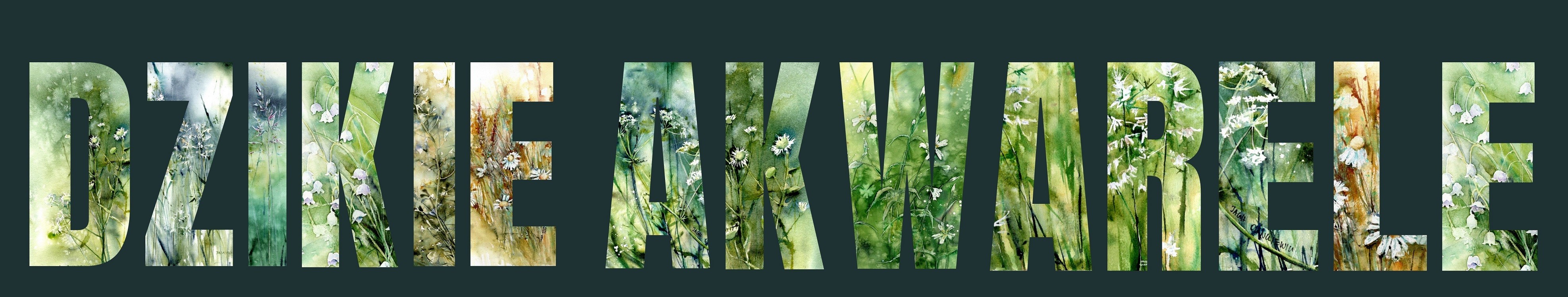 Shoper demo brak logo - strona główna